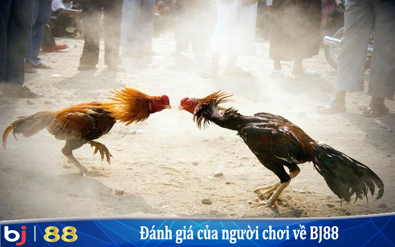 Đặt sứ mệnh mang đến sự giải trí tốt nhất cho người trải nghiệm.