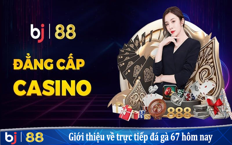 Giới thiệu về trực tiếp đá gà casino 67 hôm nay